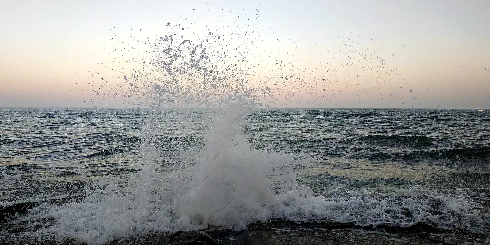 Галерея 102
